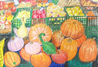 zucca